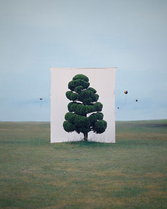 Myoung Ho Lee | Tree Series.