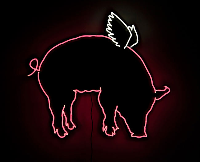 Neon Art by Daniel A. Bruce.