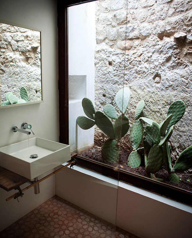 yellowtrace_casatalia