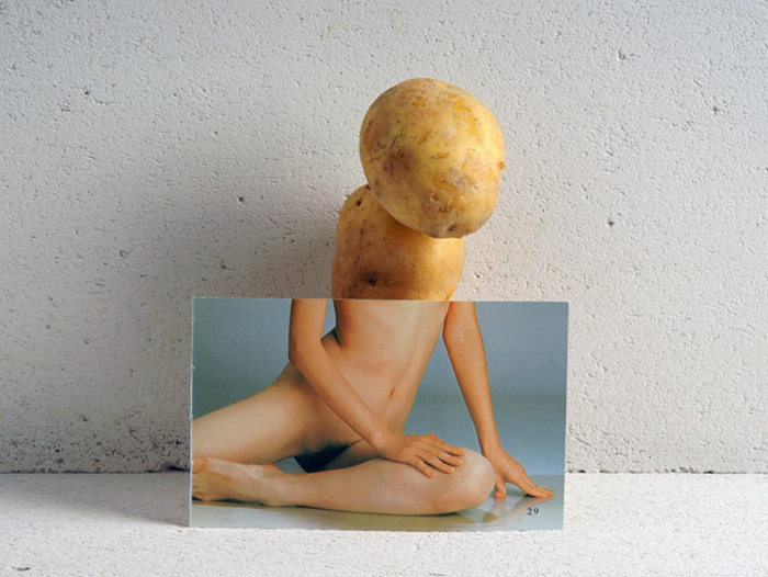 'Fruit & Vegetables' Series by Heidi Voet.