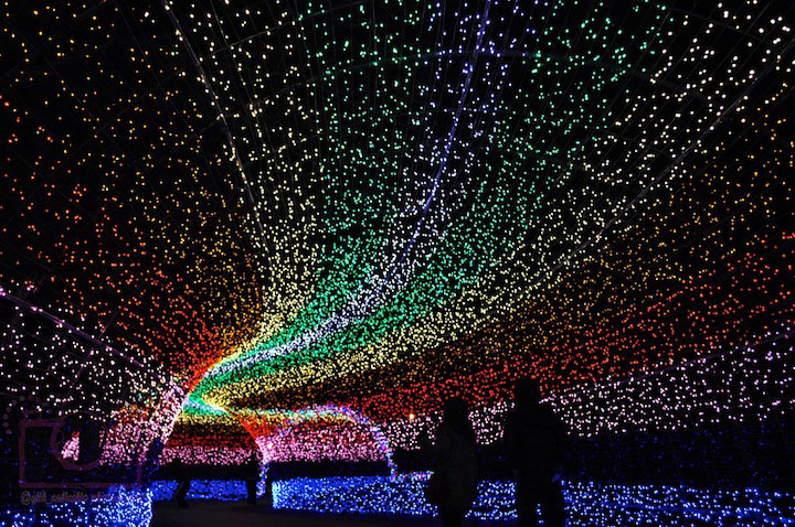Winter Illuminations at Nabana no Sato, Japan.