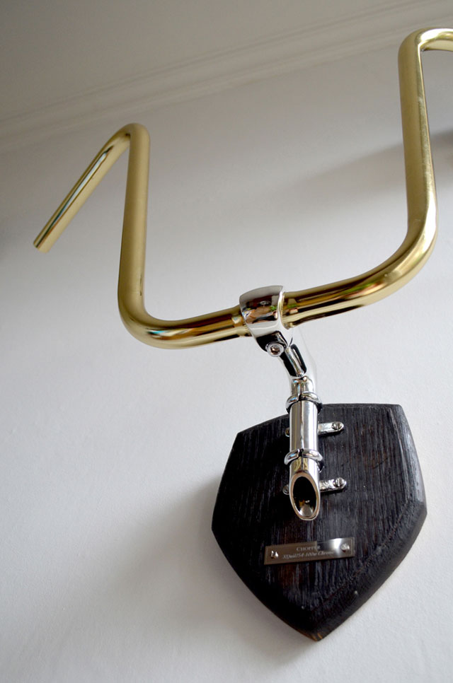 Bicycle Taxidermy by Regan Appleton.