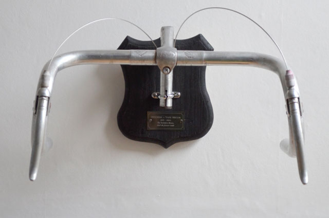 Bicycle Taxidermy by Regan Appleton.