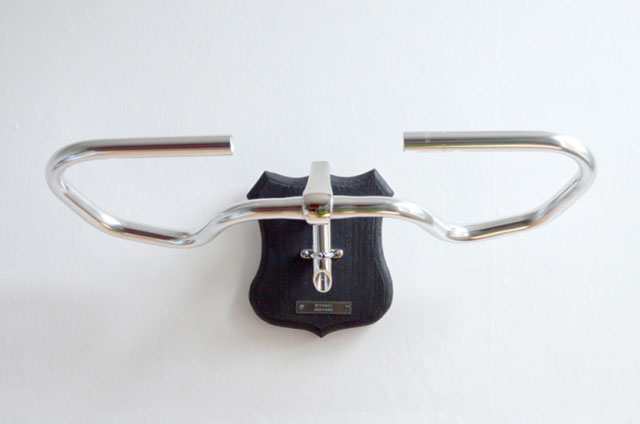 Bicycle Taxidermy by Regan Appleton.