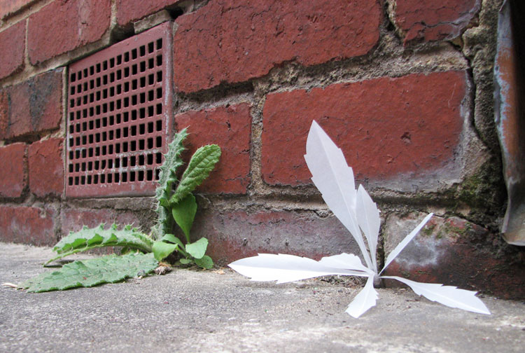 Yellowtrace interview // Natasha Frisch, It’s Nothing…Really 2006.
