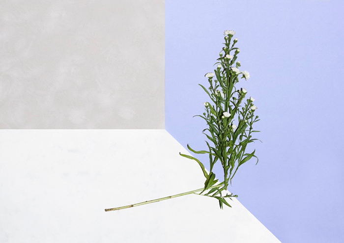 Lauren Hillebrandt Photography | Yellowtrace.
