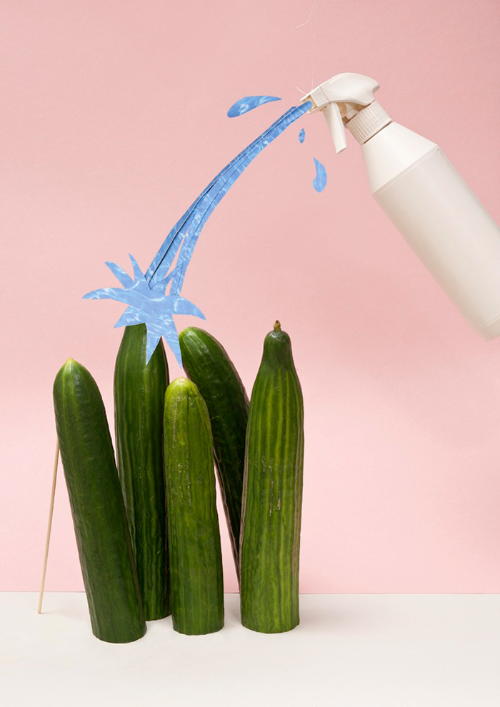 Lauren Hillebrandt Photography | Yellowtrace.