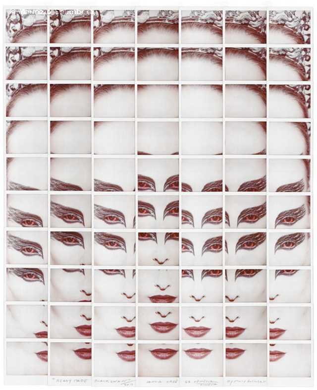 Polaroid Portrait Mosaic of Black Swan| Yellowtrace.