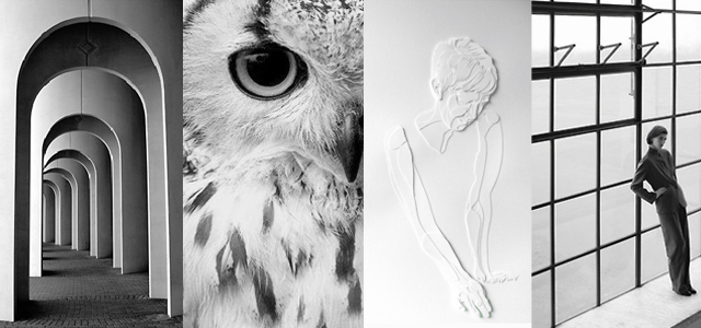 Yellowtrace Post Gallery.