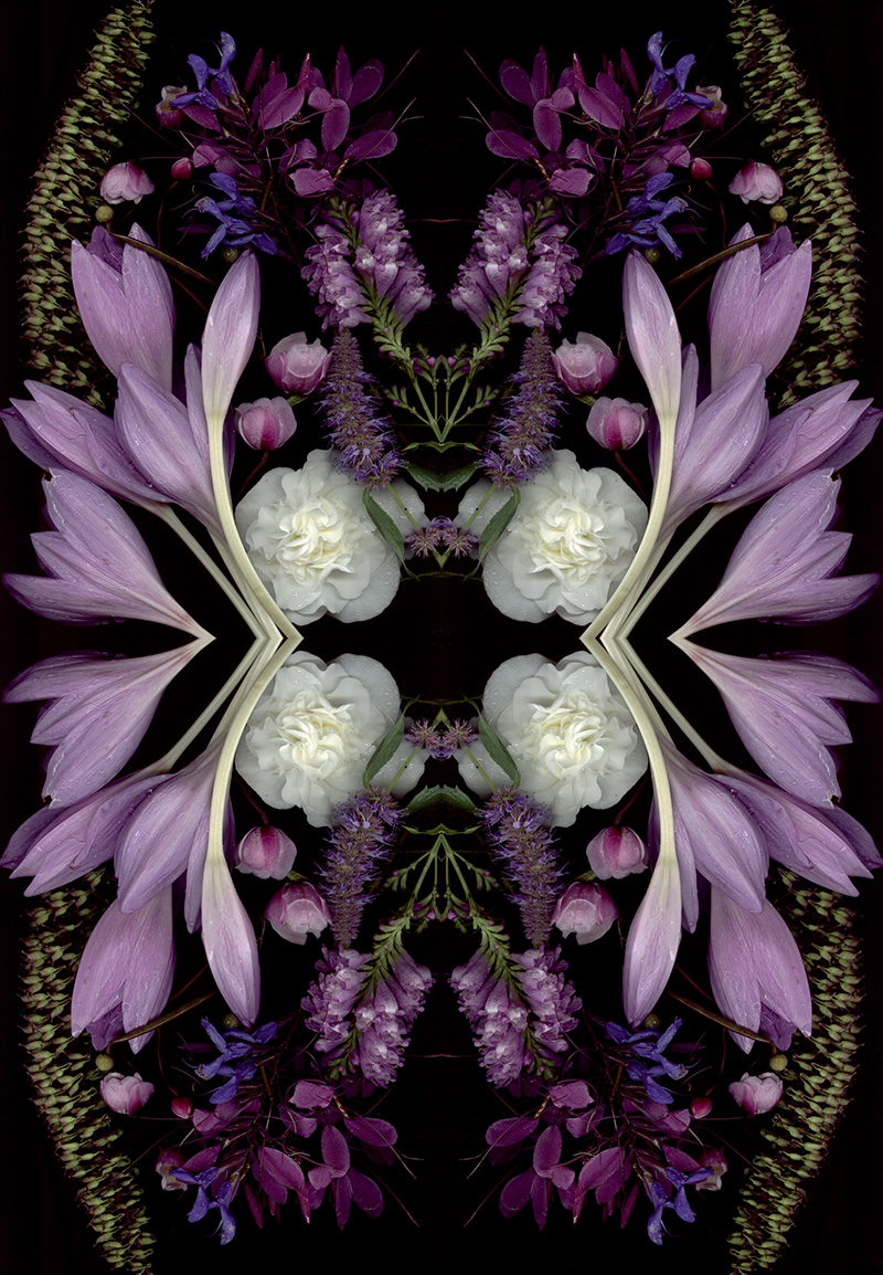 Bloom Day Scans patterns by Craig Cramer | Yellowtrace. Bloom Day Scans patterns by Craig Cramer | Yellowtrace.