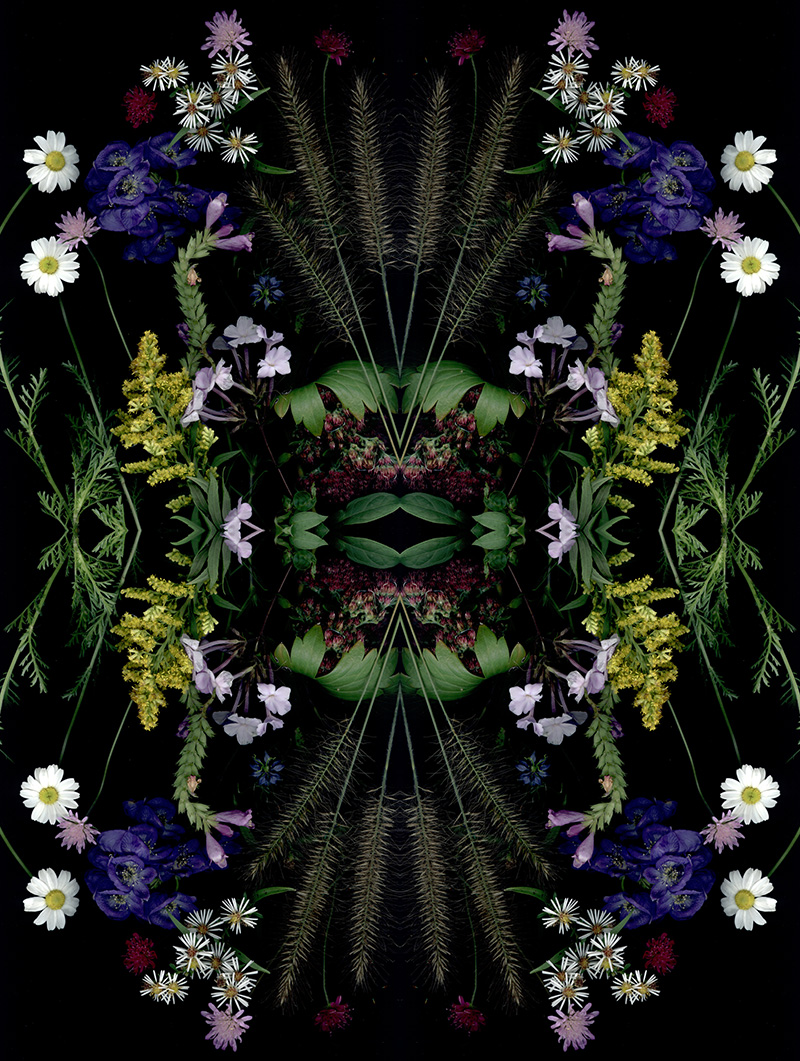 Bloom Day Scans patterns by Craig Cramer | Yellowtrace. Bloom Day Scans patterns by Craig Cramer | Yellowtrace.