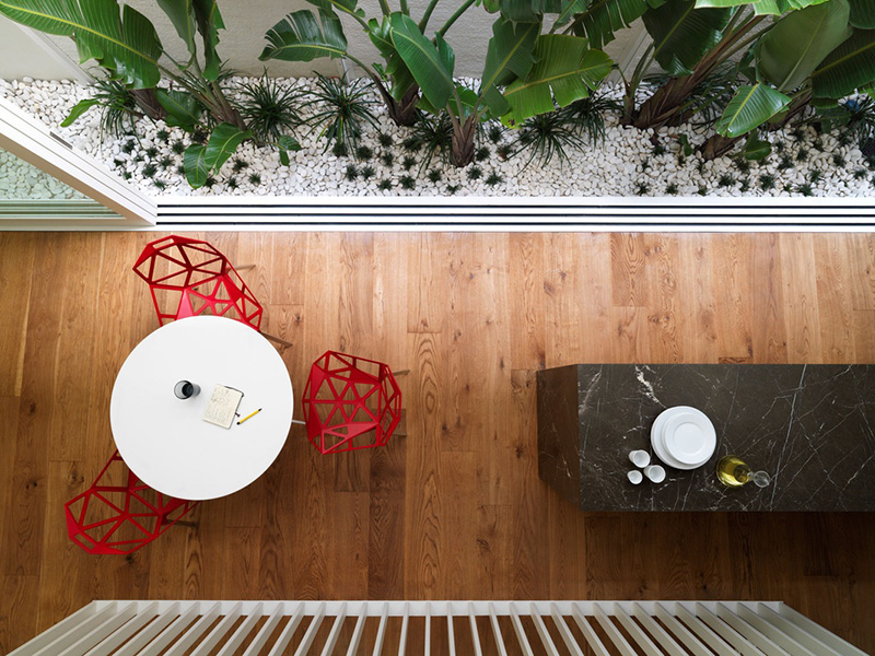 Double Bay House by Tobias Partners. Photo by Justin Alexander // Yellowtrace. Australian Houses Shortlist 2013.