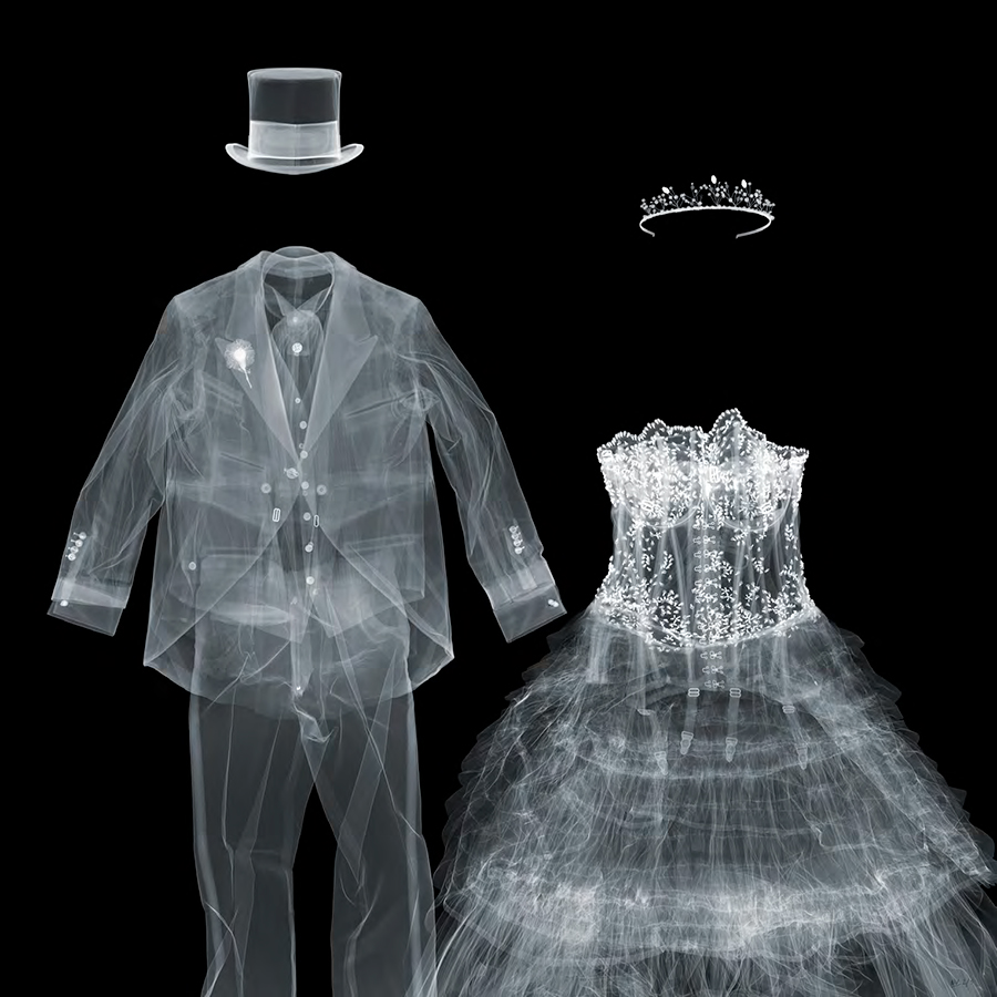Design Free Thursday // X-Ray Photography by Nick Veasey.