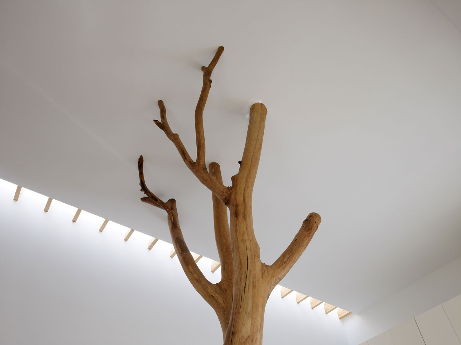 Garden Tree House by Hironaka Ogawa & Associates | Yellowtrace. Trees in Interior Design | Curated by Yellowtrace.