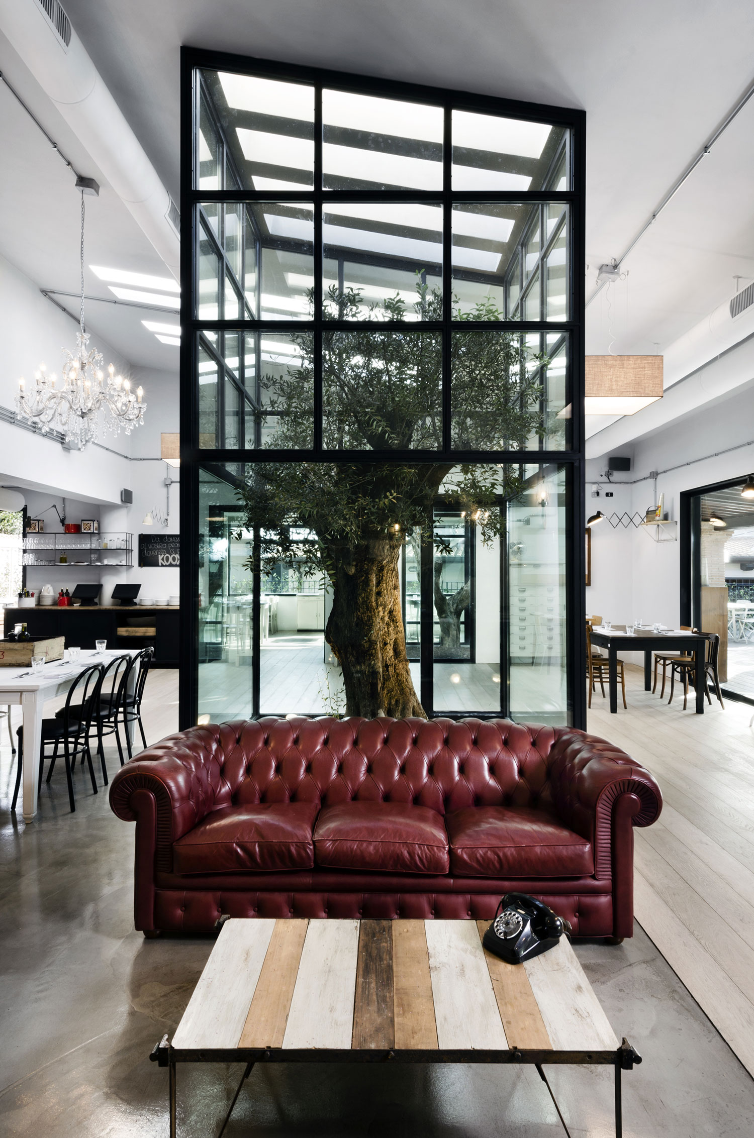 KOOK Osteria & Pizzeria in Lazio by Noses Architects | Yellowtrace. Trees in Interior Design | Curated by Yellowtrace.