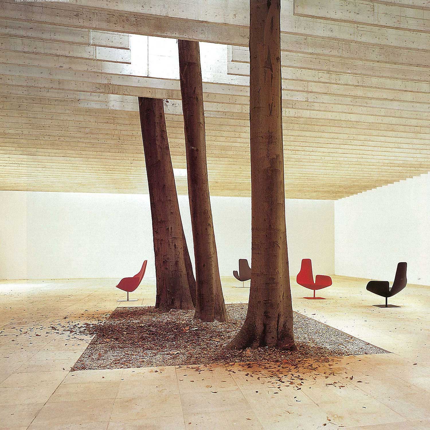 So Hot Right Now... Trees in Interiors | Curated by Yellowtrace. Trees in Interior Design | Yellowtrace.